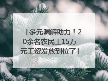 多元调解助力！20余名农民工15万元工资发放到位了