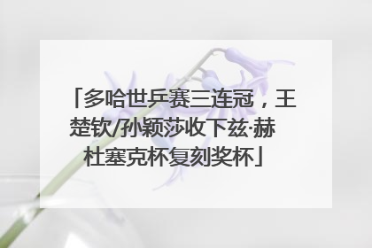 多哈世乒赛三连冠，王楚钦/孙颖莎收下兹·赫杜塞克杯复刻奖杯