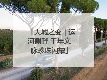 大城之变｜运河侧畔 千年文脉珍珠闪耀