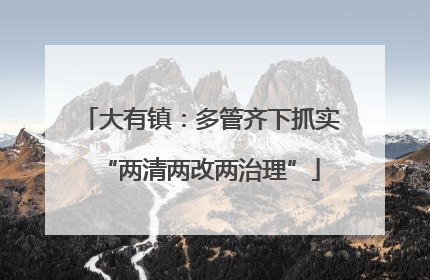 大有镇：多管齐下抓实“两清两改两治理”