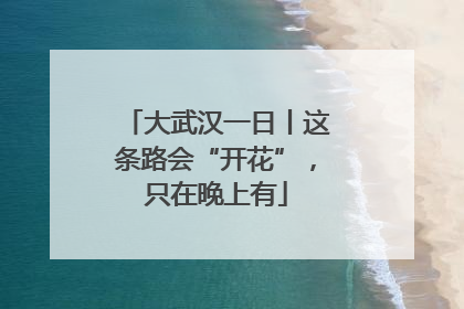 大武汉一日丨这条路会“开花”，只在晚上有
