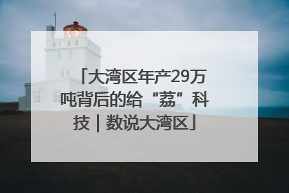 大湾区年产29万吨背后的给“荔”科技｜数说大湾区