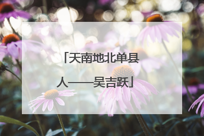 天南地北单县人——吴吉跃