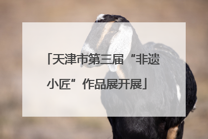 天津市第三届“非遗小匠”作品展开展