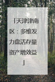 天津津南区：多维发力盘活存量资产增效益