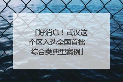 好消息！武汉这个区入选全国首批综合类典型案例