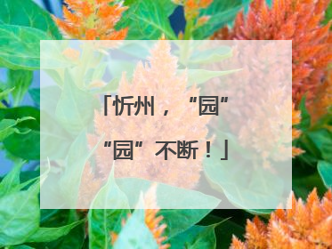忻州，“园”“园”不断！
