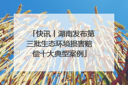 快讯丨湖南发布第三批生态环境损害赔偿十大典型案例