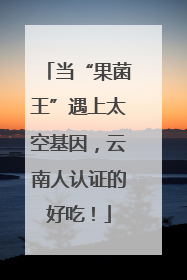 当“果菌王”遇上太空基因，云南人认证的好吃！