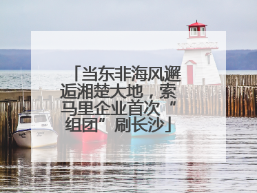 当东非海风邂逅湘楚大地，索马里企业首次“组团”刷长沙