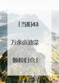 当阳43万余亩油菜颗粒归仓