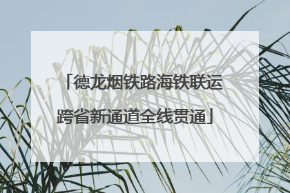 德龙烟铁路海铁联运跨省新通道全线贯通