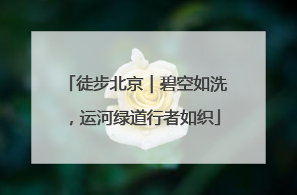 徒步北京｜碧空如洗，运河绿道行者如织