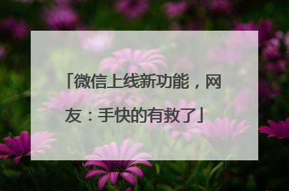 微信上线新功能,网友:手快的有救了