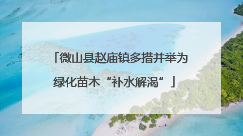 微山县赵庙镇多措并举为绿化苗木“补水解渴”