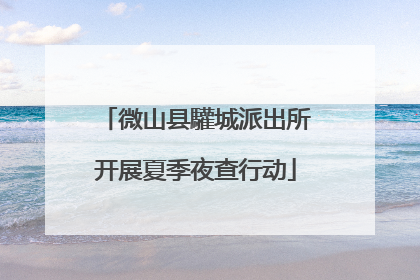 微山县驩城派出所开展夏季夜查行动