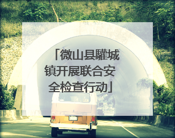 微山县驩城镇开展联合安全检查行动