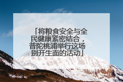 将粮食安全与全民健康紧密结合，普陀桃浦举行这场别开生面的活动