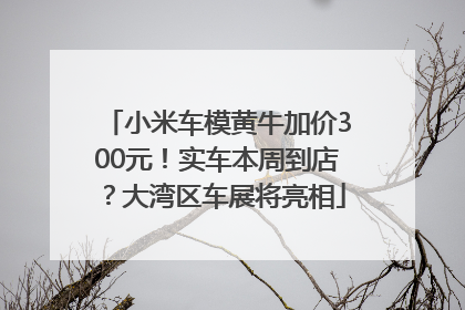 小米车模黄牛加价300元！实车本周到店？大湾区车展将亮相
