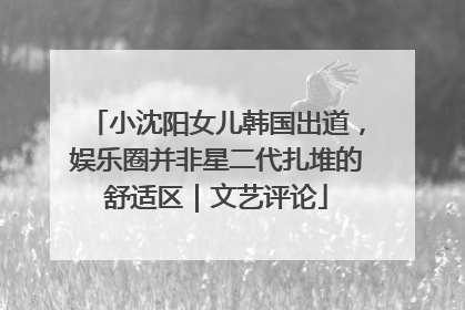 小沈阳女儿韩国出道，娱乐圈并非星二代扎堆的舒适区｜文艺评论