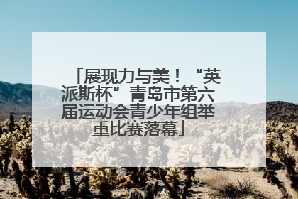 展现力与美！“英派斯杯”青岛市第六届运动会青少年组举重比赛落幕