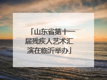 山东省第十一届残疾人艺术汇演在临沂举办