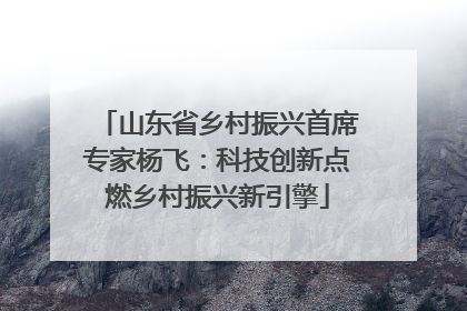 山东省乡村振兴首席专家杨飞：科技创新点燃乡村振兴新引擎