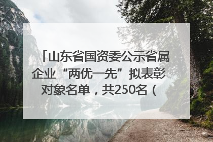 山东省国资委公示省属企业“两优一先”拟表彰对象名单，共250名（个）党员和党组织