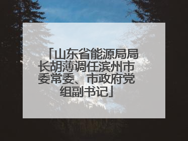 山东省能源局局长胡薄调任滨州市委常委、市政府党组副书记