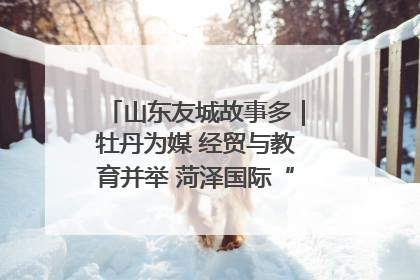 山东友城故事多｜牡丹为媒 经贸与教育并举 菏泽国际“朋友圈”扩容升级