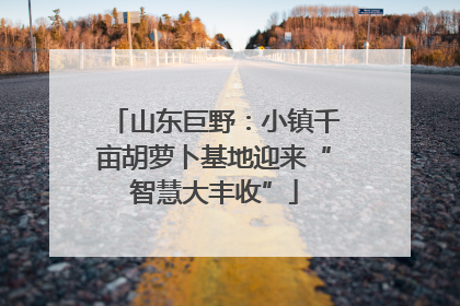 山东巨野：小镇千亩胡萝卜基地迎来“智慧大丰收”