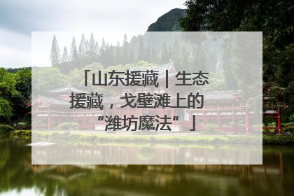 山东援藏｜生态援藏，戈壁滩上的“潍坊魔法”