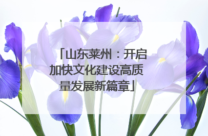 山东莱州：开启加快文化建设高质量发展新篇章