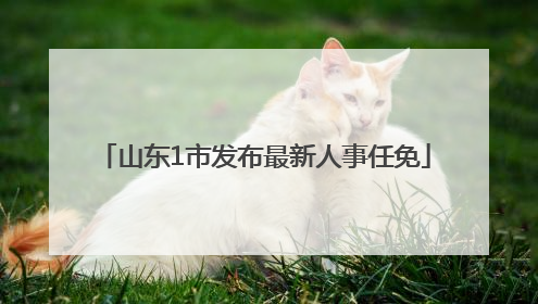 山东1市发布最新人事任免
