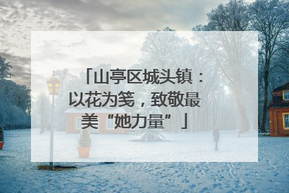 山亭区城头镇：以花为笺，致敬最美“她力量”