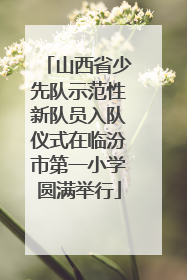 山西省少先队示范性新队员入队仪式在临汾市第一小学圆满举行
