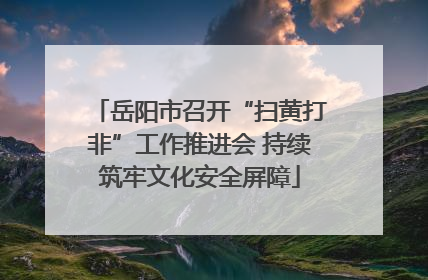 岳阳市召开“扫黄打非”工作推进会 持续筑牢文化安全屏障
