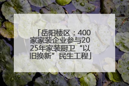 岳阳楼区：400家家装企业参与2025年家装厨卫“以旧换新”民生工程