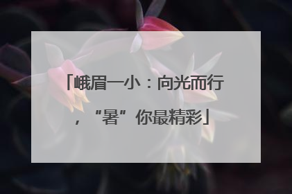 峨眉一小：向光而行，“暑”你最精彩