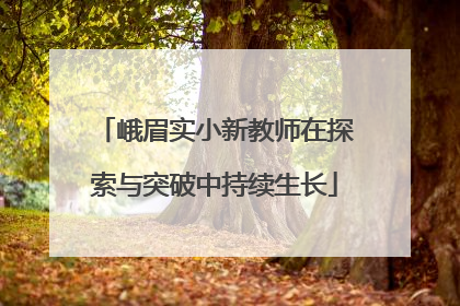 峨眉实小新教师在探索与突破中持续生长