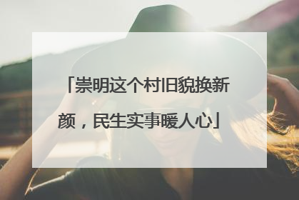 崇明这个村旧貌换新颜，民生实事暖人心