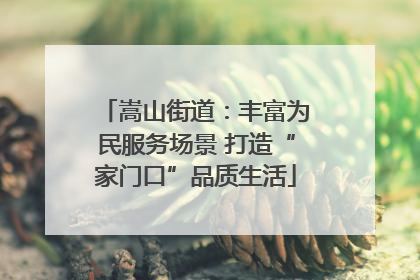 嵩山街道：丰富为民服务场景 打造“家门口”品质生活