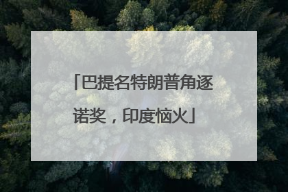巴提名特朗普角逐诺奖，印度恼火