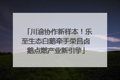 川渝协作新样本！乐至生态白鹅牵手荣昌卤鹅点燃产业新引擎