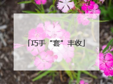 巧手“套”丰收