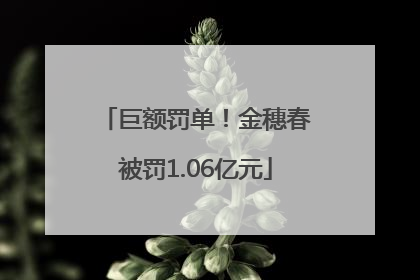 巨额罚单！金穗春被罚1.06亿元
