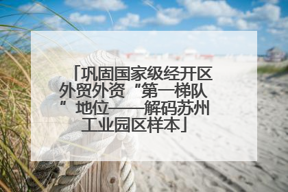 巩固国家级经开区外贸外资“第一梯队”地位——解码苏州工业园区样本
