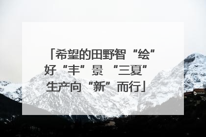 希望的田野智“绘”好“丰”景 “三夏”生产向“新”而行
