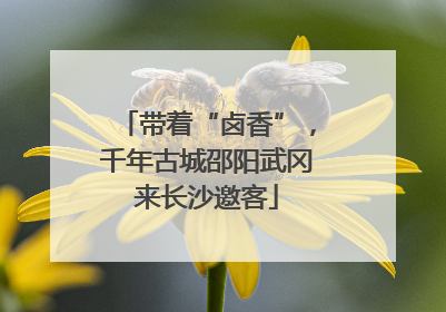 带着“卤香”，千年古城邵阳武冈来长沙邀客