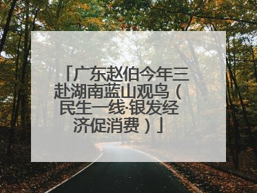 广东赵伯今年三赴湖南蓝山观鸟（民生一线·银发经济促消费）